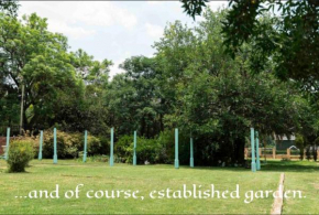 The Salvage Garden